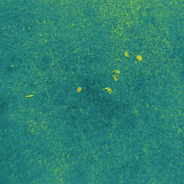 20250609_03